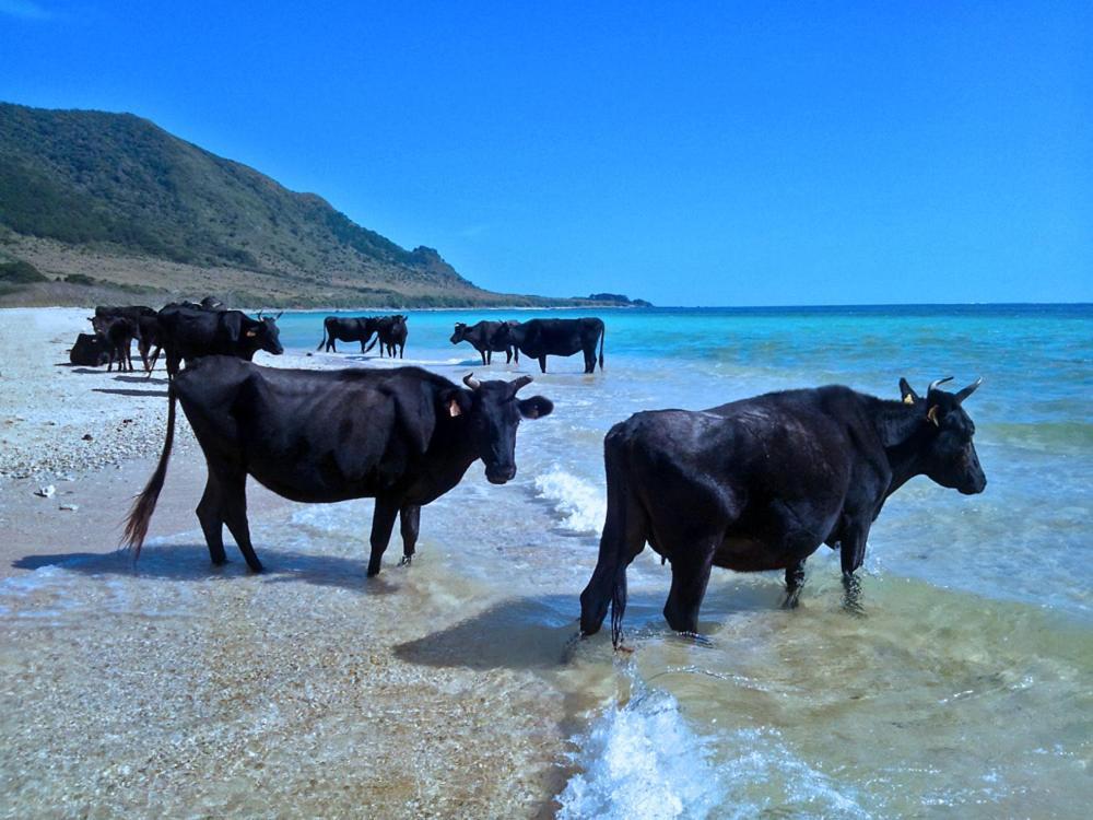 Hotel 435 Ishigaki  Zewnętrze zdjęcie
